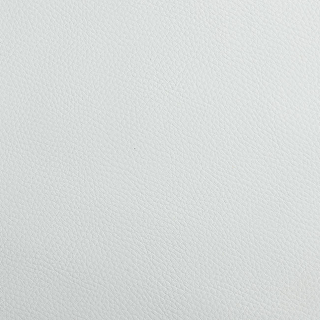 CS02-09 White