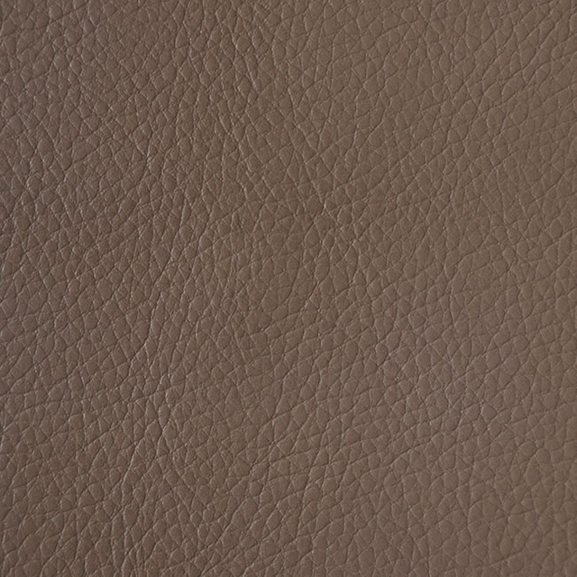 GT0603---Sand-Dollar