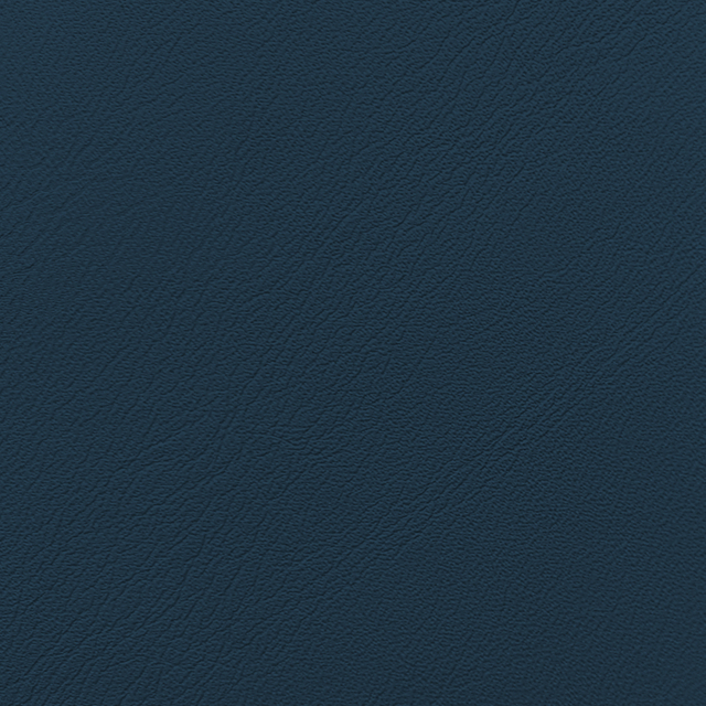 C225-19 Dark Denim