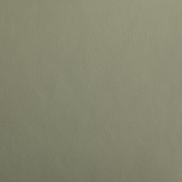CS03-05 Deep Green