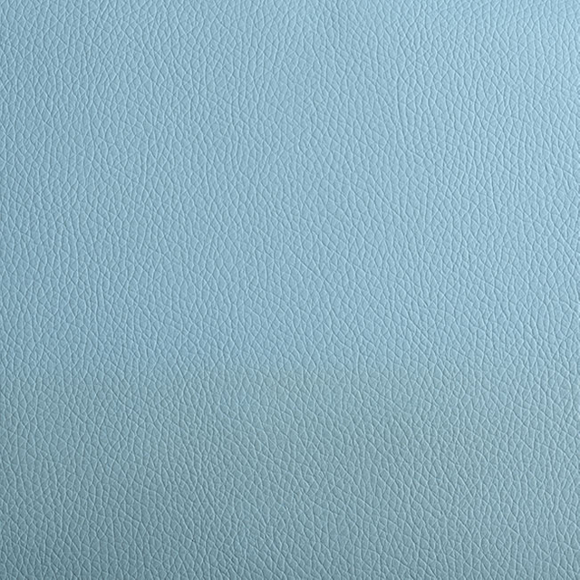 C202-06 Sky Blue