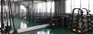 GYM1