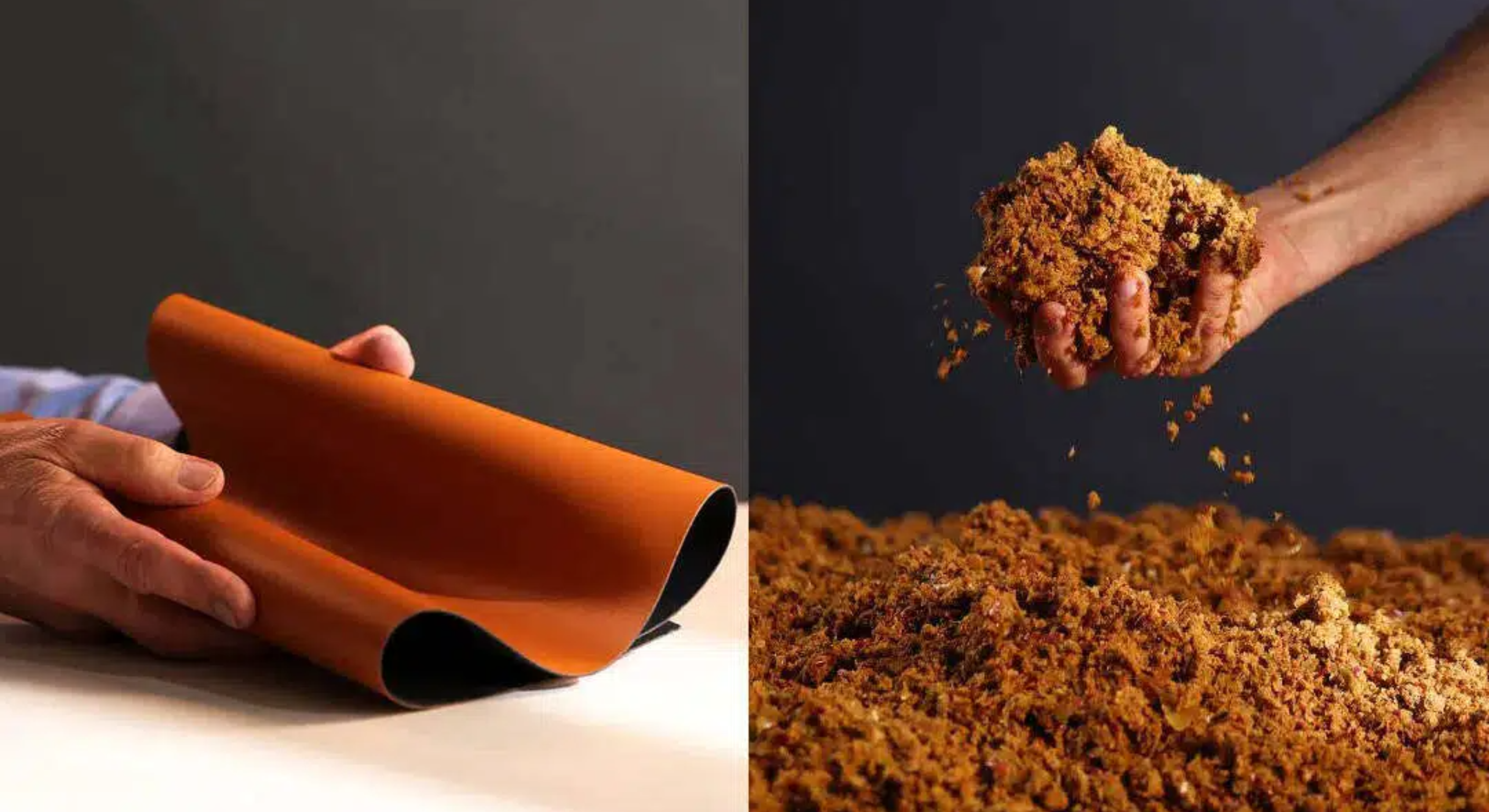 aafef7512ff646a899e51b2d89d9fb69