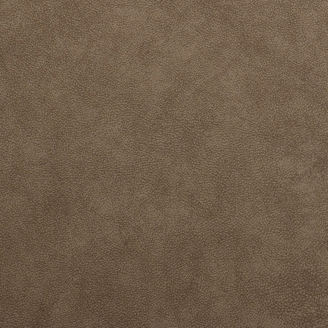 57213-shitake