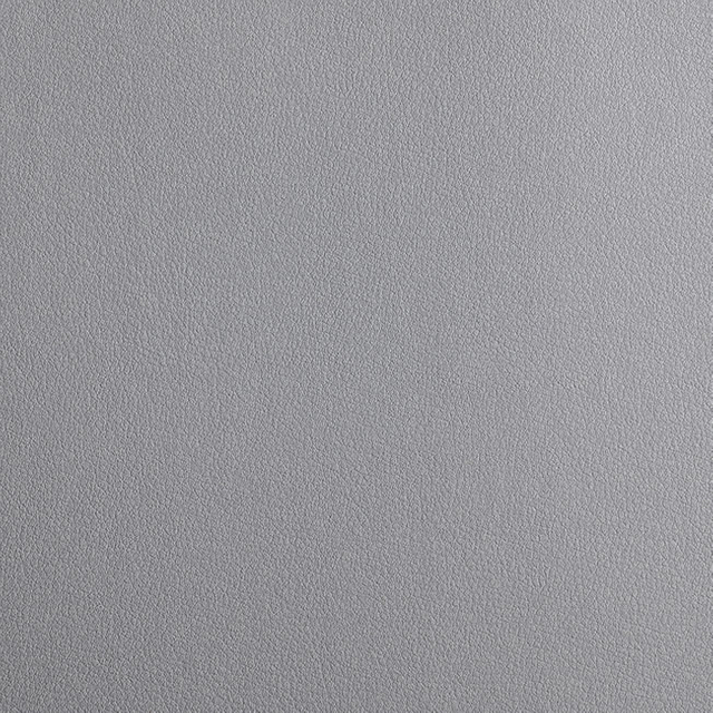 57011-Quiet-Gary