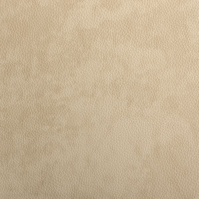55965-Champagne