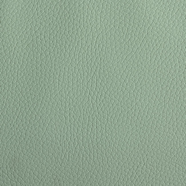 59803-Lichen