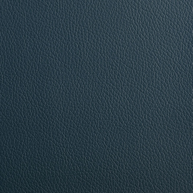 C209-10 Deep Sea Blue