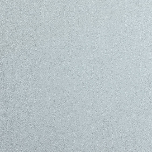 C208-05 Pale Blue