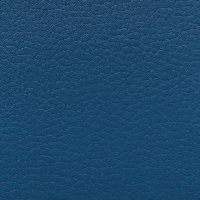 C223-15 Eletric Blue
