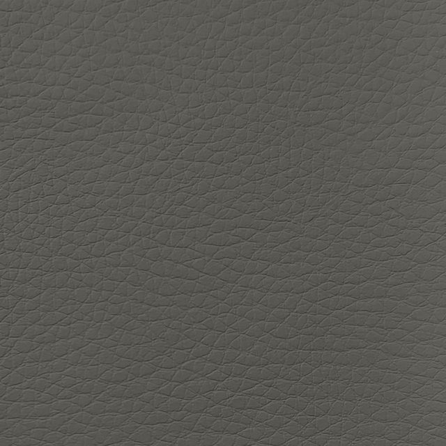 C223-07 Earth