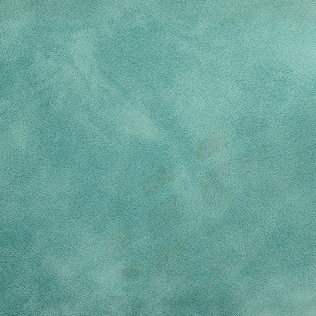 55508-Lichen