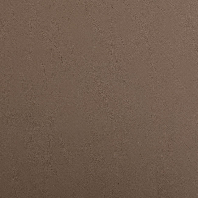 56801-Ginger-Snap