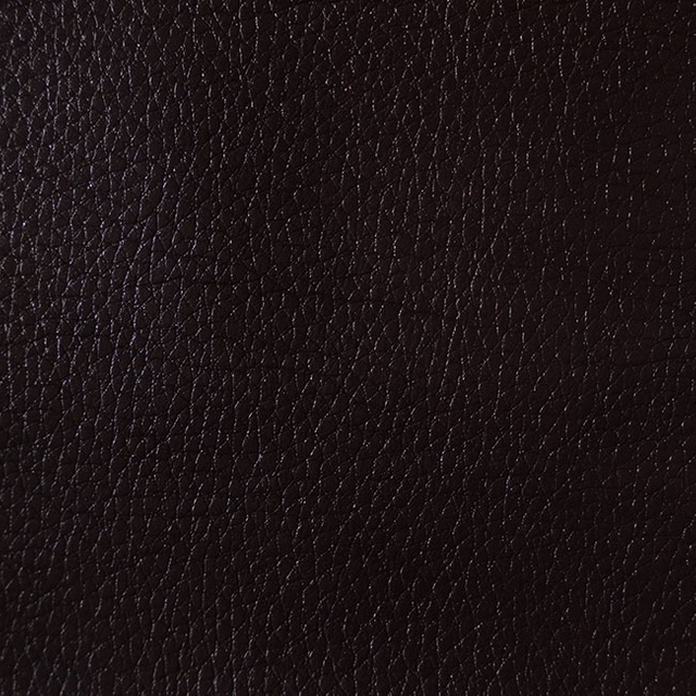 GT0703--Cho-Brown