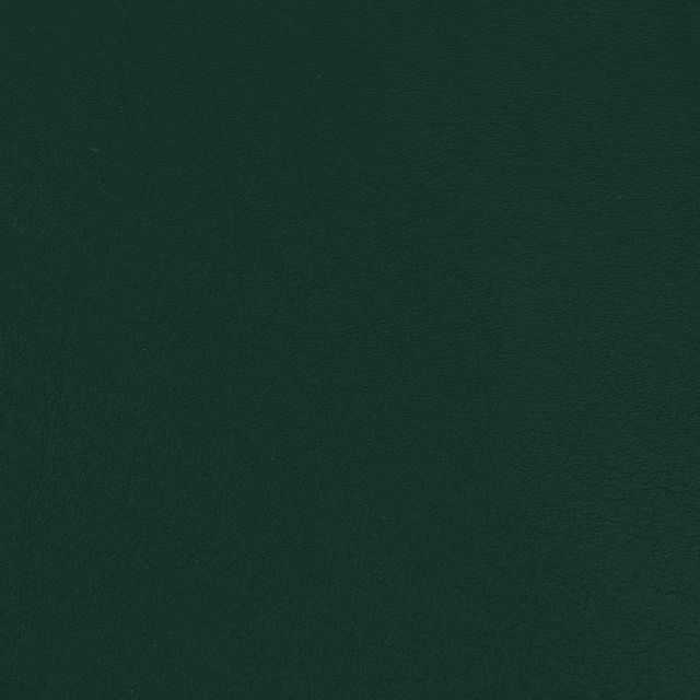 3162-07 Dark Green