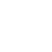 Pet Bedding & Care Accessories