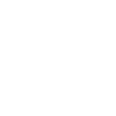 Automotive OEM Solutions