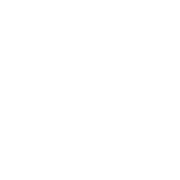 Automotive OEM Solutions