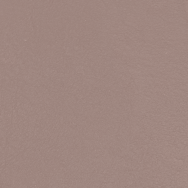 3162-10 Light Caramel